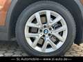 BMW X1 xDrive 20 d xLine Aut. Leder Navi Brun - thumbnail 19