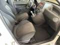 Fiat Panda 1.4 16V 100 HP Bianco - thumbnail 12