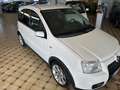 Fiat Panda 1.4 16V 100 HP Bianco - thumbnail 4