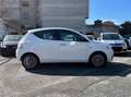 Lancia Ypsilon 1.0 FireFly 5 porte S&S Hybrid Platino Bianco - thumbnail 4