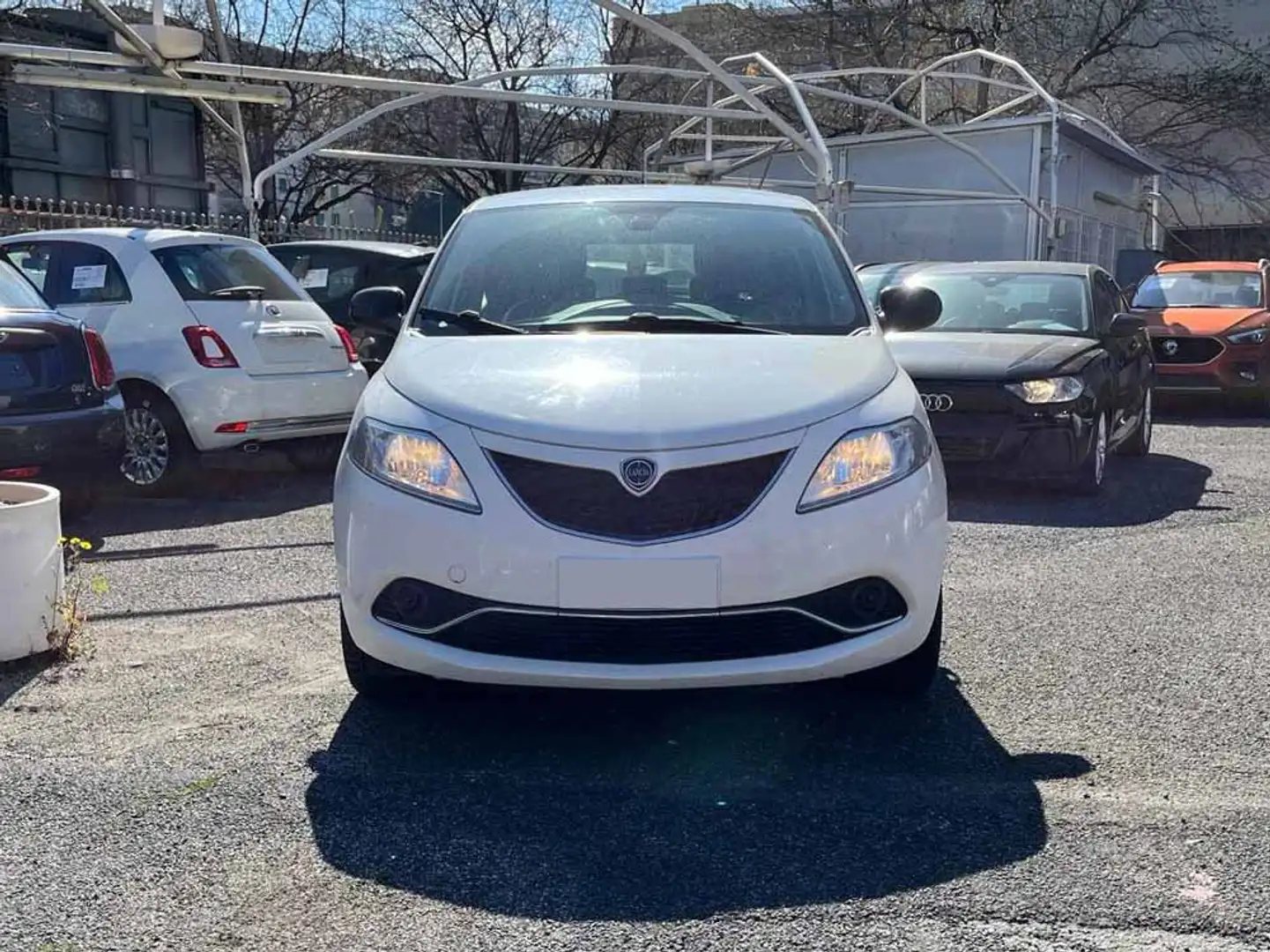Lancia Ypsilon 1.0 FireFly 5 porte S&S Hybrid Platino Bianco - 2