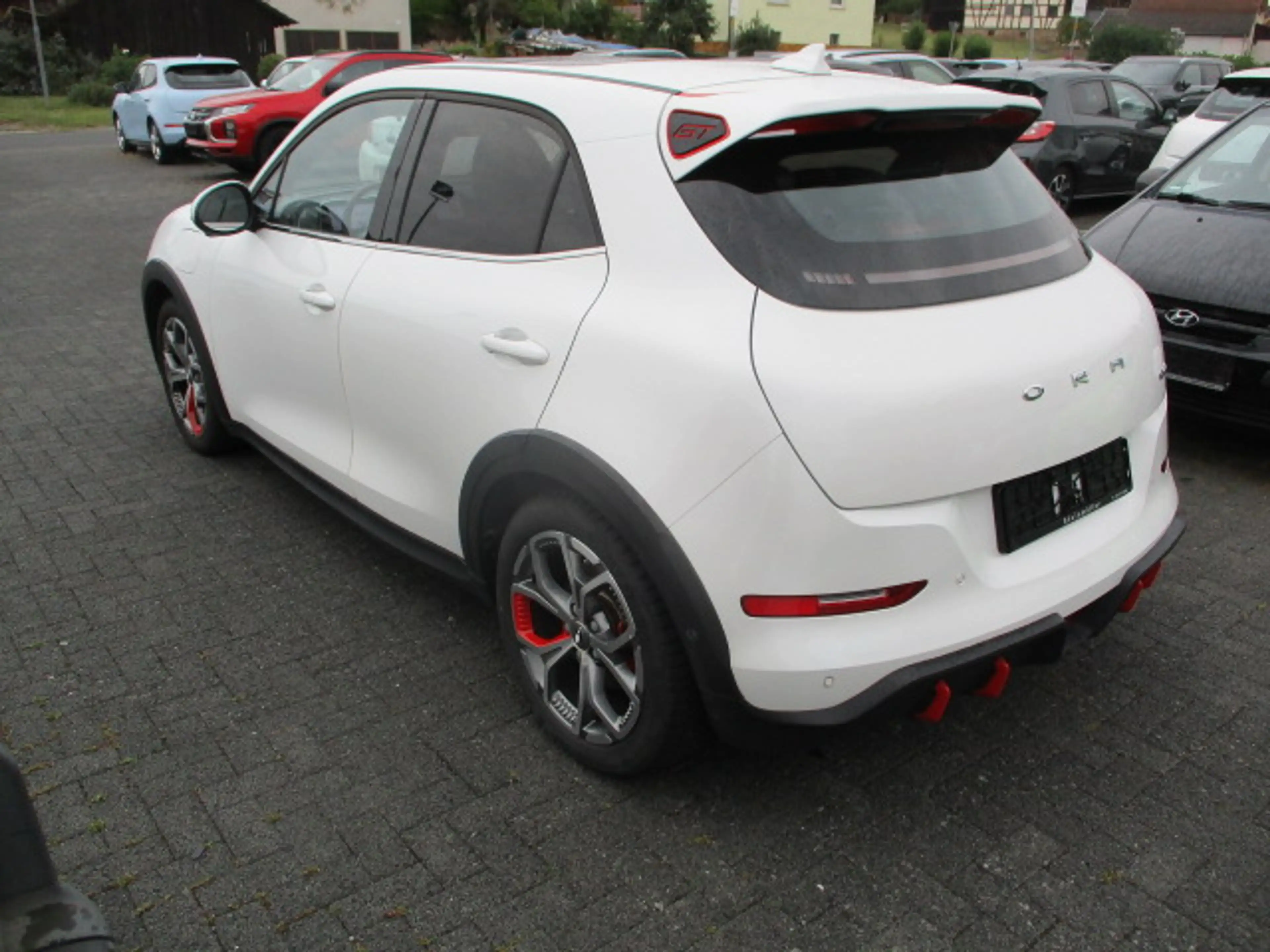 Ora Funky Cat Funky Cat GT — photo 5