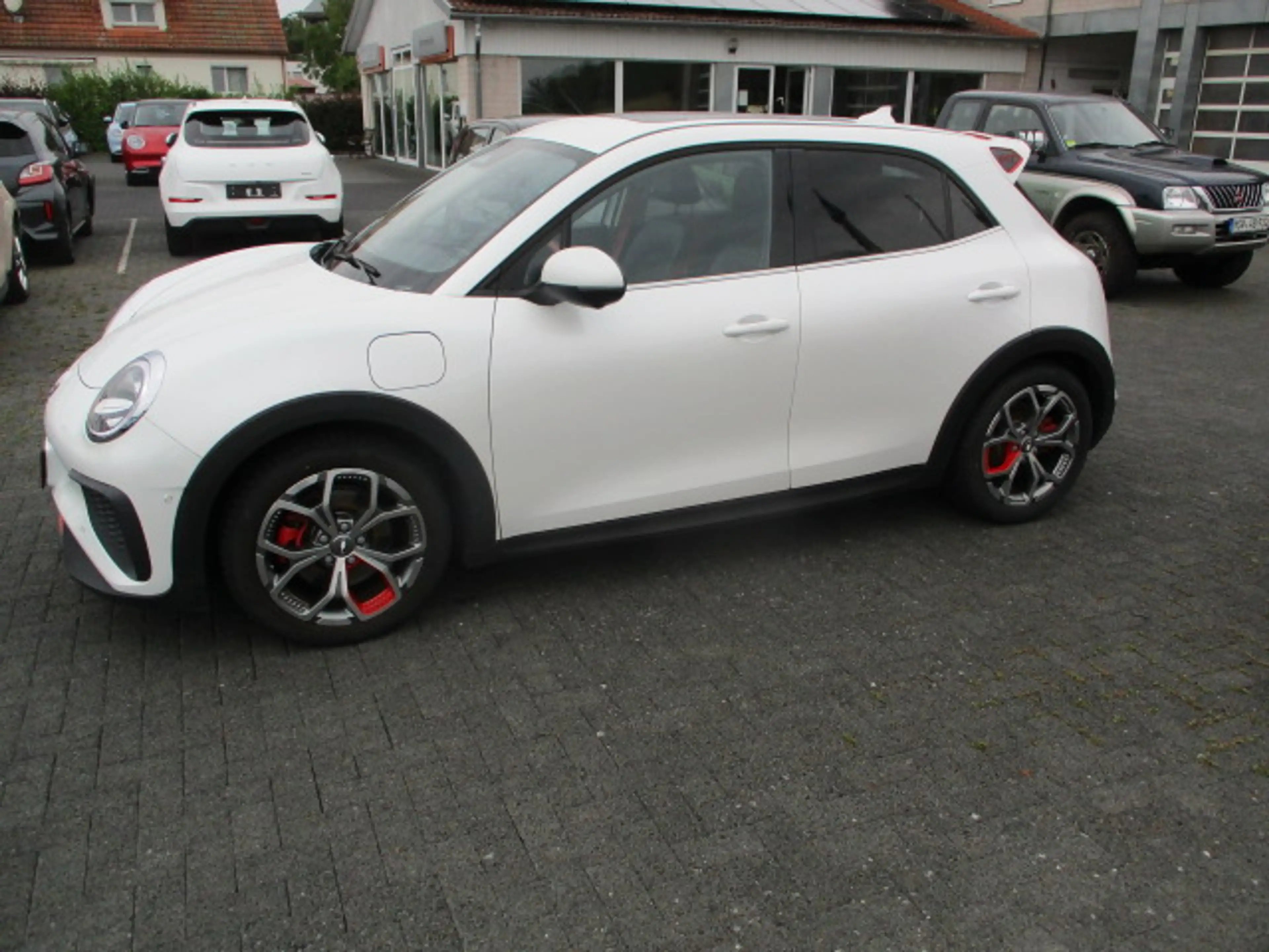 Ora Funky Cat Funky Cat GT — photo 4
