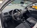 Volkswagen Golf 1.6cc 105CV TDI NEOPATENTATI Bianco - thumbnail 7