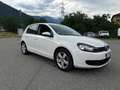 Volkswagen Golf 1.6cc 105CV TDI NEOPATENTATI Bianco - thumbnail 3