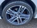 SEAT Leon ST 2.0 TDI DSG Xcellence Plus PANORAMA+AHK+ Weiß - thumbnail 8