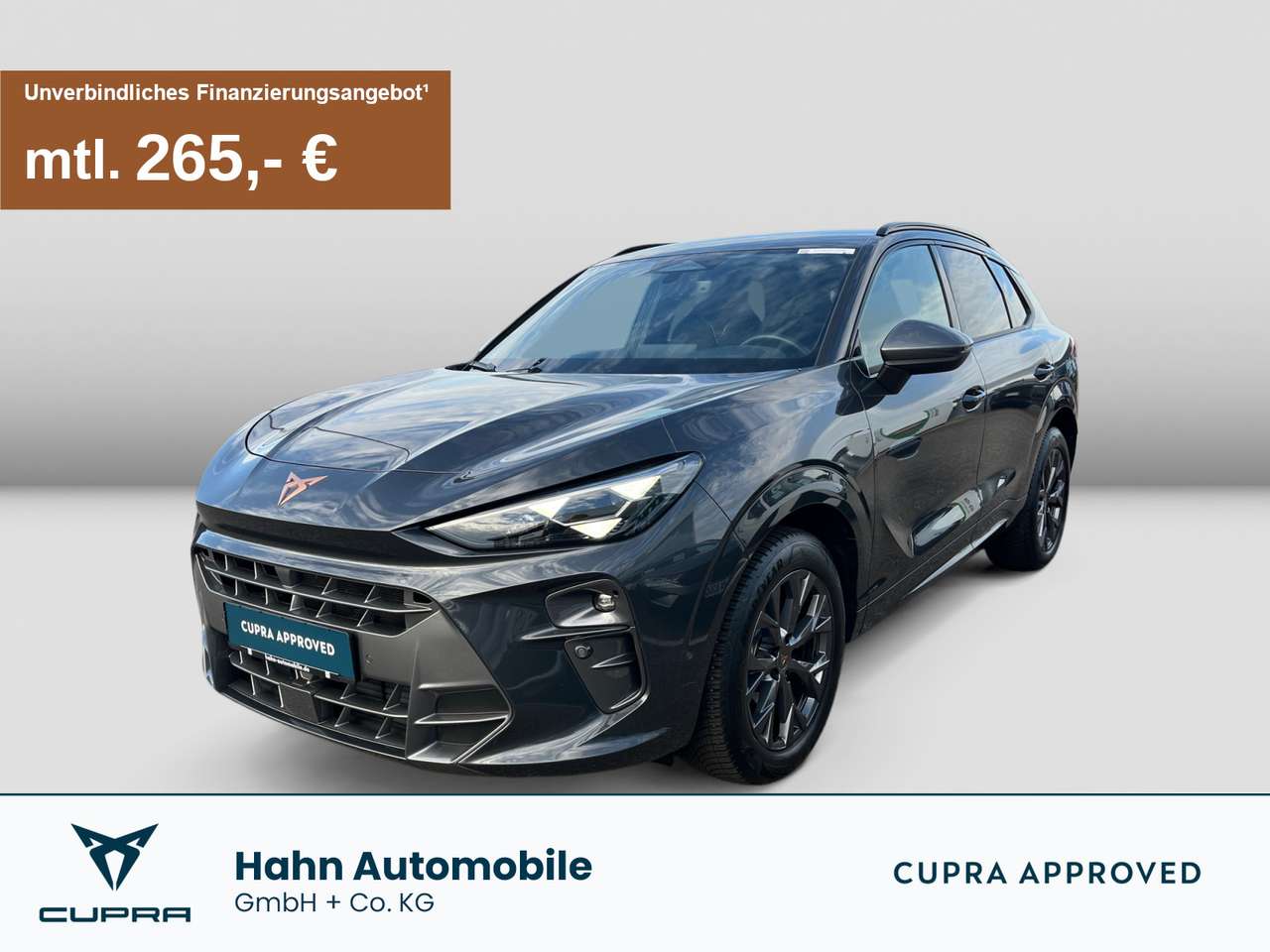Cupra Terramar — Cupra Terramar 2.0TSI DSG 4Drive Matrix HUD ACC Navi