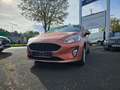 Ford Fiesta 1.0 EcoBoost S&S Active Bronzová - thumbnail 1