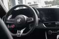 Alfa Romeo Giulia Quadrifoglio 2,9l V6 vom AR Vertagshändler Grün - thumbnail 12