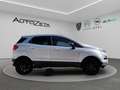 Ford EcoSport 1.5 TDCi 95 CV Titanium Grigio - thumbnail 4