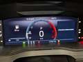Skoda Superb WAGON 2.0 TDI EVO 110KW EXECUTIVE DSG - thumbnail 8