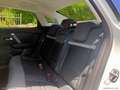 Citroen C4 X PureTech 130 S&S EAT8 Shine Weiß - thumbnail 11