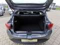 Dacia Sandero Stepway Extreme+ TCE 110 [Sitzheizung/Kamera/Navi] Grau - thumbnail 35