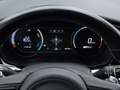 Kia e-Niro DynamicLine 39 kWh (136 PK) 2e-Eig. & Keurig-Onder Gri - thumbnail 16