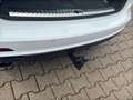 Audi S6 3.0 TDI qu. LED|ACC|RFK|Virtual|AHK|Vir Weiß - thumbnail 20