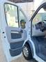 Fiat Ducato tetto alto passo lungo. Bianco - thumbnail 13