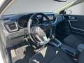 Kia Ceed / cee'd / Ceed 1.5 T-GDI Spirit LED+NAVI+RFK+GRA+SZ Weiß - thumbnail 9