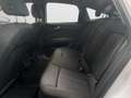 Audi Q4 e-tron Q4 Sportback e-tron 35 NAVI ACC SHZ Weiß - thumbnail 14
