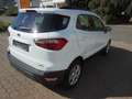 Ford EcoSport Cool & Connect White - thumbnail 5