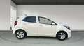 Kia Picanto 1.0 DPi Concept Wit - thumbnail 6