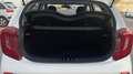 Kia Picanto 1.0 DPi Concept Wit - thumbnail 9