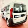 Fiat Doblo Doblo 1.3 mjt 16v Easy 95cv 9500 IVA E PASS INCL. Weiß - thumbnail 6