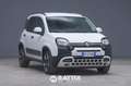 Fiat Panda 1.0 Firefly Hybrid 70CV Cross 5p.ti Weiß - thumbnail 1