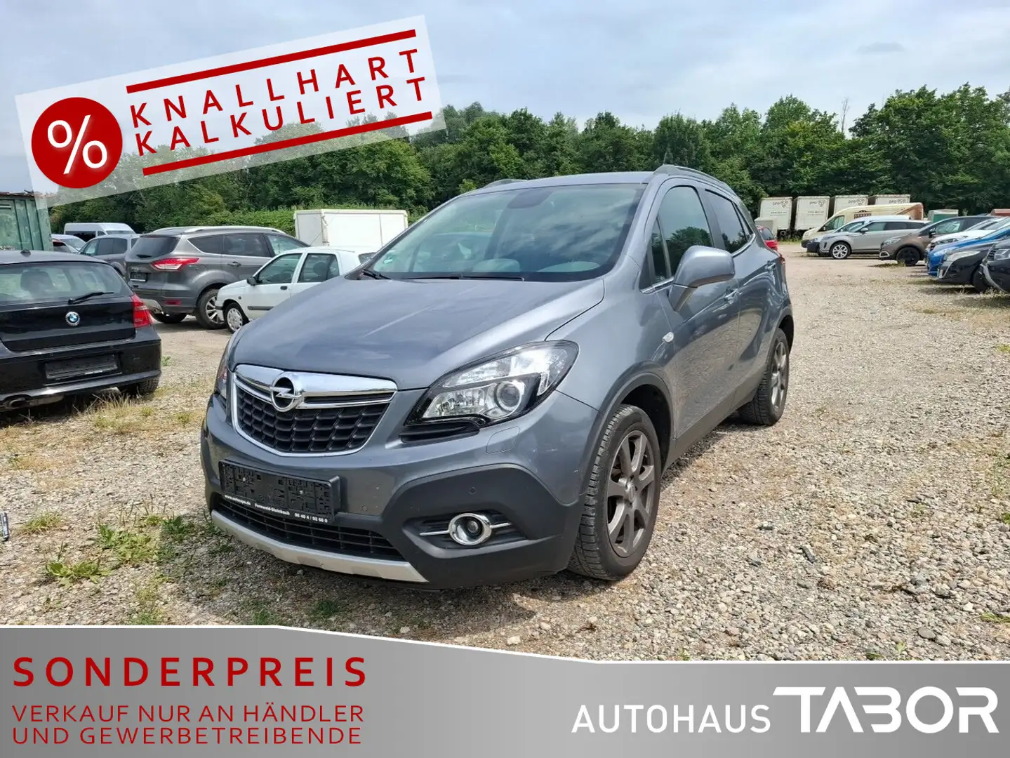 Opel Mokka 1.7CDTI Innovation 4x4 Leder Navi Kamera Grau - 1