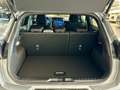 Ford Puma ST-Line 1.0 EcoBoost MHEV*360GRAD*NAVI*iACC Grau - thumbnail 11