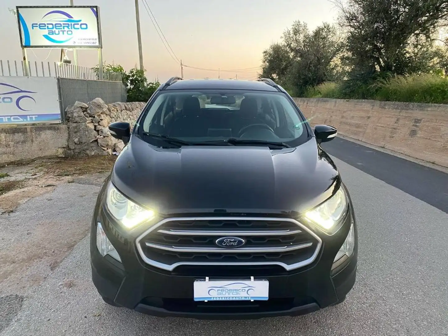 Ford EcoSport 1.5 ecoblue Plus s&s 100cv my19 - 2