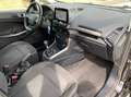 Ford EcoSport 1.5 ecoblue Plus s&s 100cv my19 - thumbnail 13