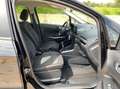 Ford EcoSport 1.5 ecoblue Plus s&s 100cv my19 - thumbnail 12