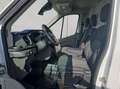 Ford Transit Kastenwagen Trend 350 L3 H2 Trend**ACC/Kam Blanco - thumbnail 7