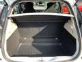 Renault ZOE Life Batteriekauf R110 Z.E. 50 LED+TEMPOMAT Weiß - thumbnail 12