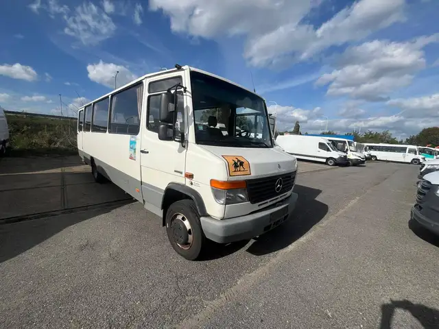 Mercedes-Benz Vario 0813 (Stock ID 44519)
