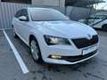 Skoda Superb Style 4x4 Weiß - thumbnail 3