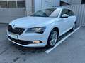 Skoda Superb Style 4x4 Weiß - thumbnail 1