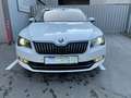 Skoda Superb Style 4x4 Weiß - thumbnail 2