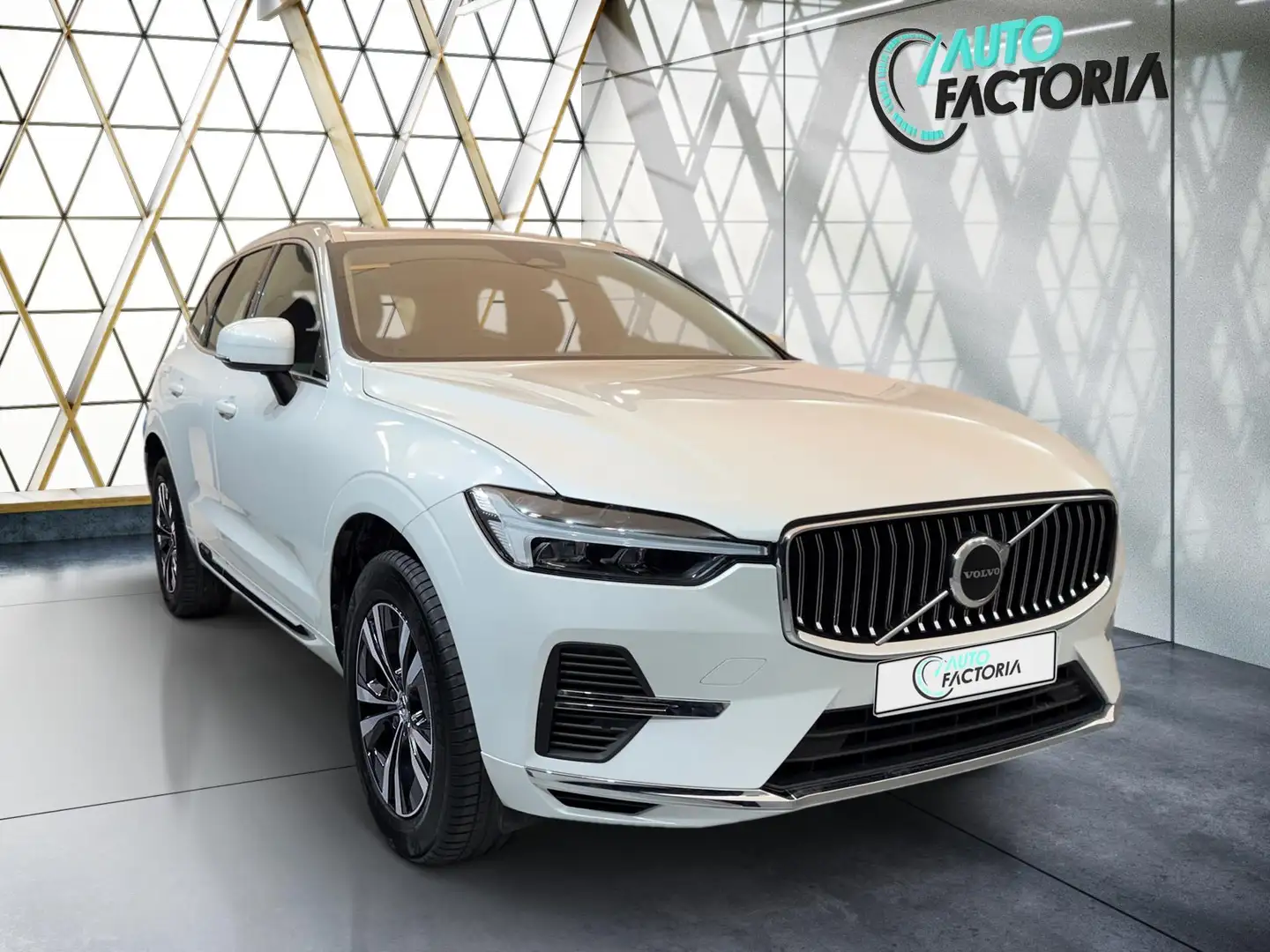 Volvo XC60 -40% T6 PHEV 350cv BVA8 4X4 +T.PANO+GPS+Options Beige - 2