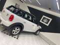 MINI Cooper D Countryman 2.0 Business auto MOTORE NUOVO - thumbnail 11
