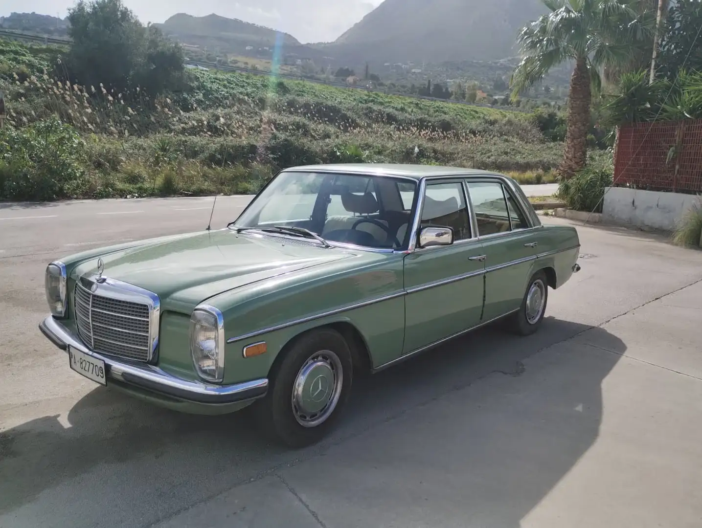 Mercedes-Benz 240 Verde - 2