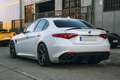 Alfa Romeo Giulia 2.9 T Quadrifoglio Aut. 510 Weiß - thumbnail 2