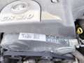 Great Wall Steed Steed 2009 2.0 tdi DC Super Luxury 4x4 Grün - thumbnail 12