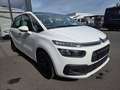 Citroen C4 SpaceTourer PureTech 130 1.2 AHK 7-Sitze PDC Blanc - thumbnail 4