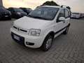 Fiat Panda Panda 1.2 4x4 Climbing Blanco - thumbnail 1