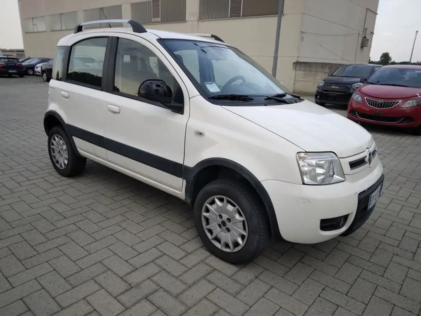 Fiat Panda Panda 1.2 4x4 Climbing Wit - 2