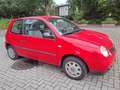 Volkswagen Lupo Lupo 1.0 Rojo - thumbnail 3