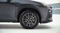 Lexus NX 350h NX Hybrid 4WD Premium Grigio - thumbnail 4