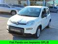 Fiat Panda 1.0 Gpl/B FireFly S&S White - thumbnail 1