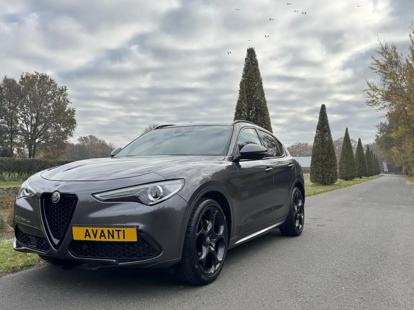 Alfa Romeo Stelvio 2.0t Q4 Veloce 280pk, panodak, 21 inch! Gris - 2